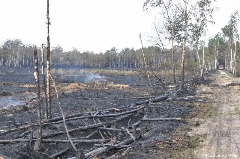 Pożar na poligonie, spłonęło 15 ha