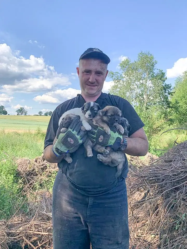 Strażacy z Nowogrodźca: akcja „Szczeniaki”