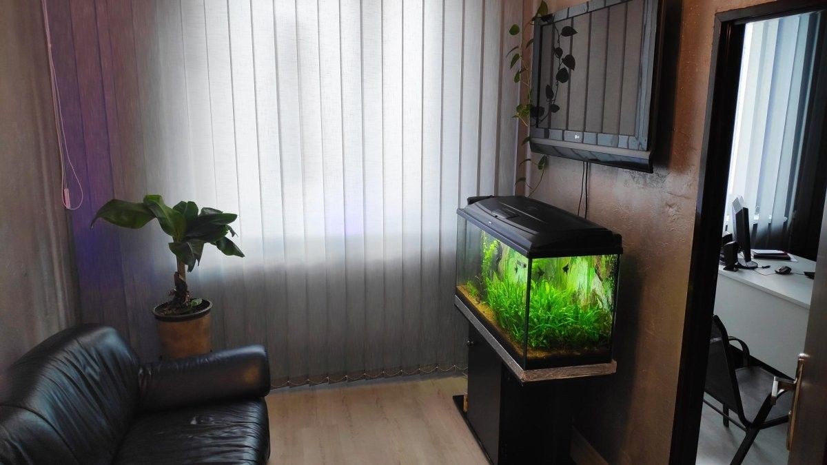 Kancelaria Ubezpieczeń infopolisa.com