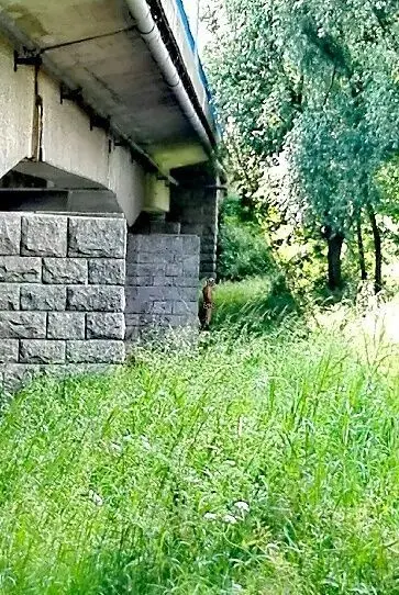 Golas z nad Bobru korzysta z pięknej pogody?