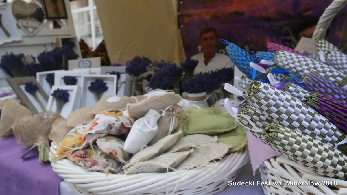 Sudecki Festiwal Minerałów
