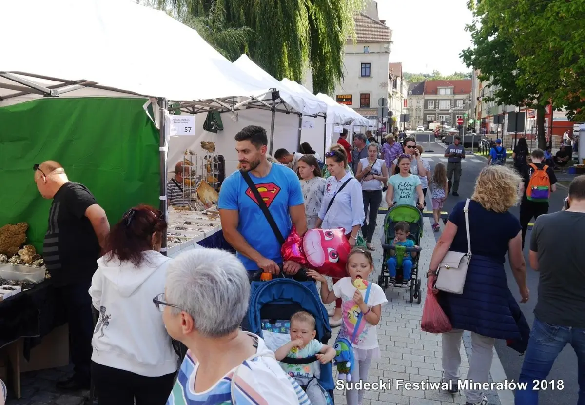Sudecki Festiwal Minerałów