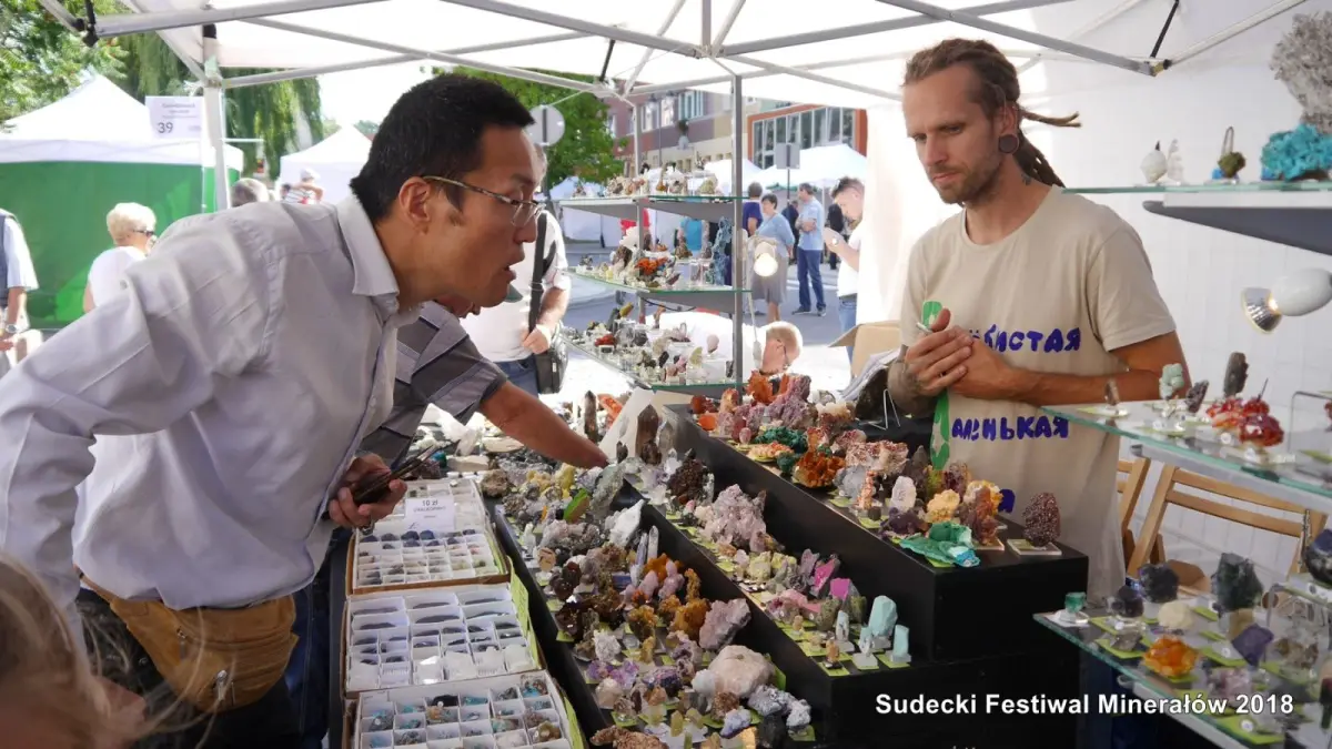 Sudecki Festiwal Minerałów