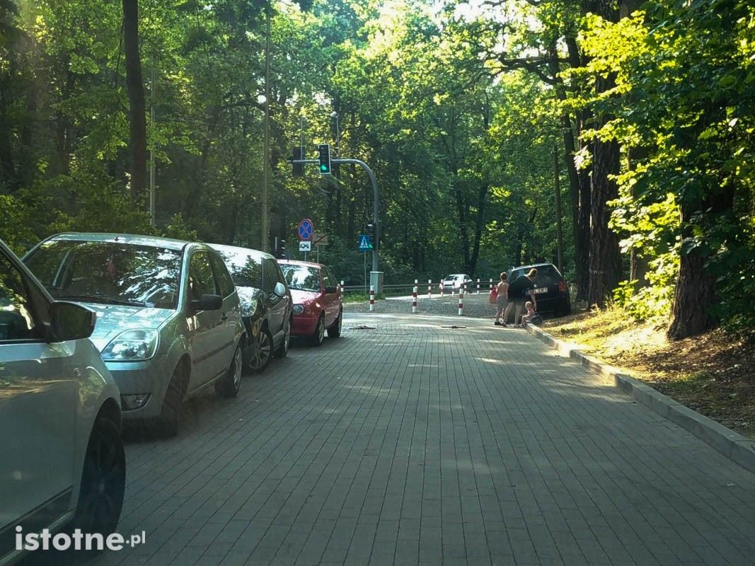 Auta zaparkowane przed Leśnym Potokiem