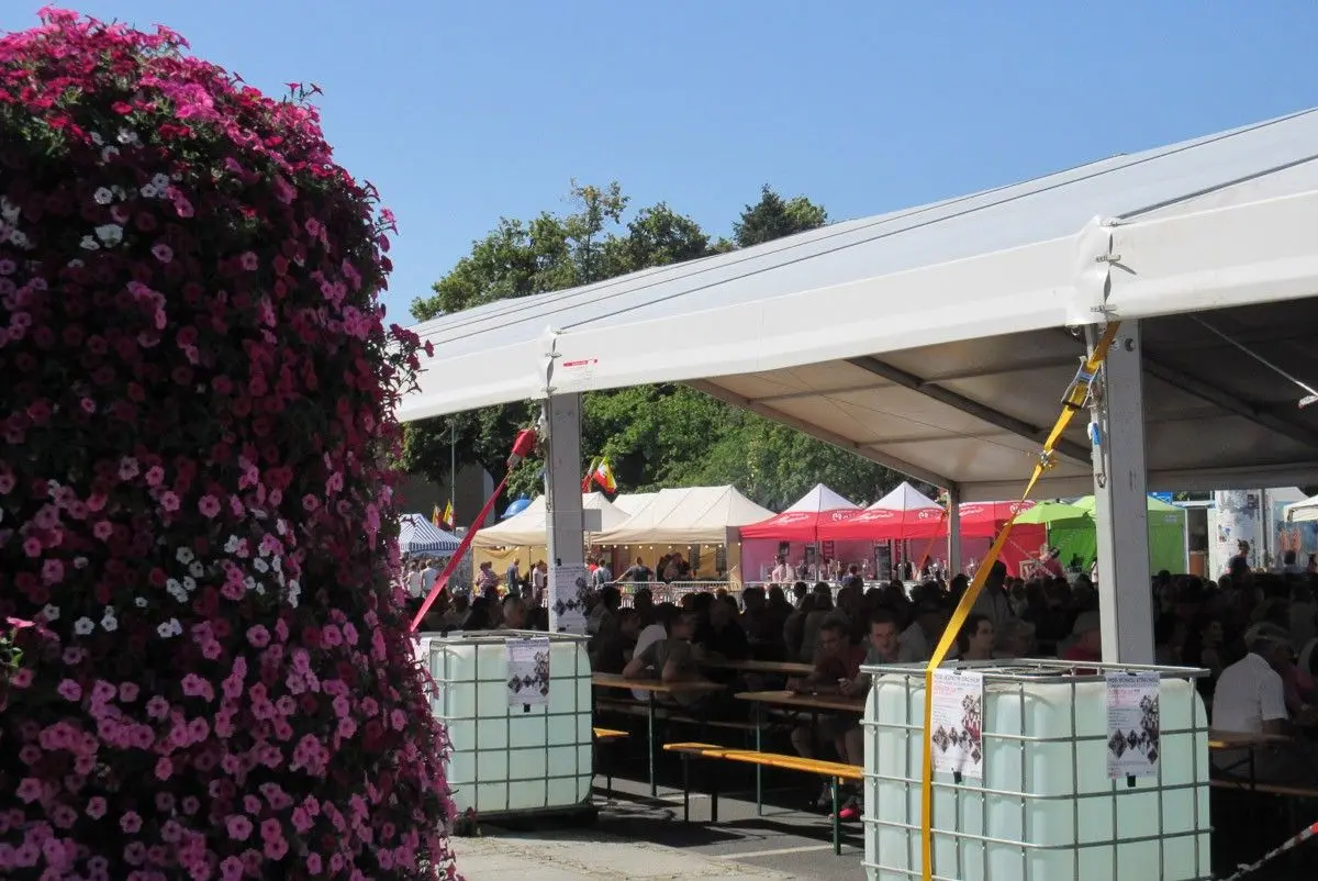 Dni Bolesławca 2019