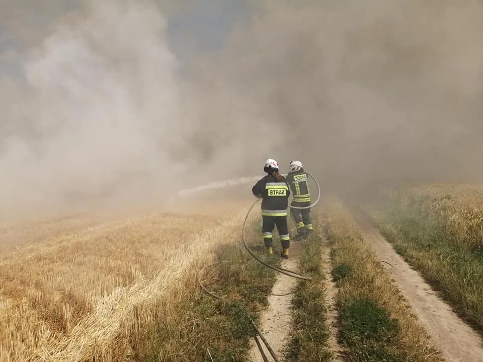 Duży pożar na polach koło Olszanicy. Straż i samoloty gaśnicze w akcji