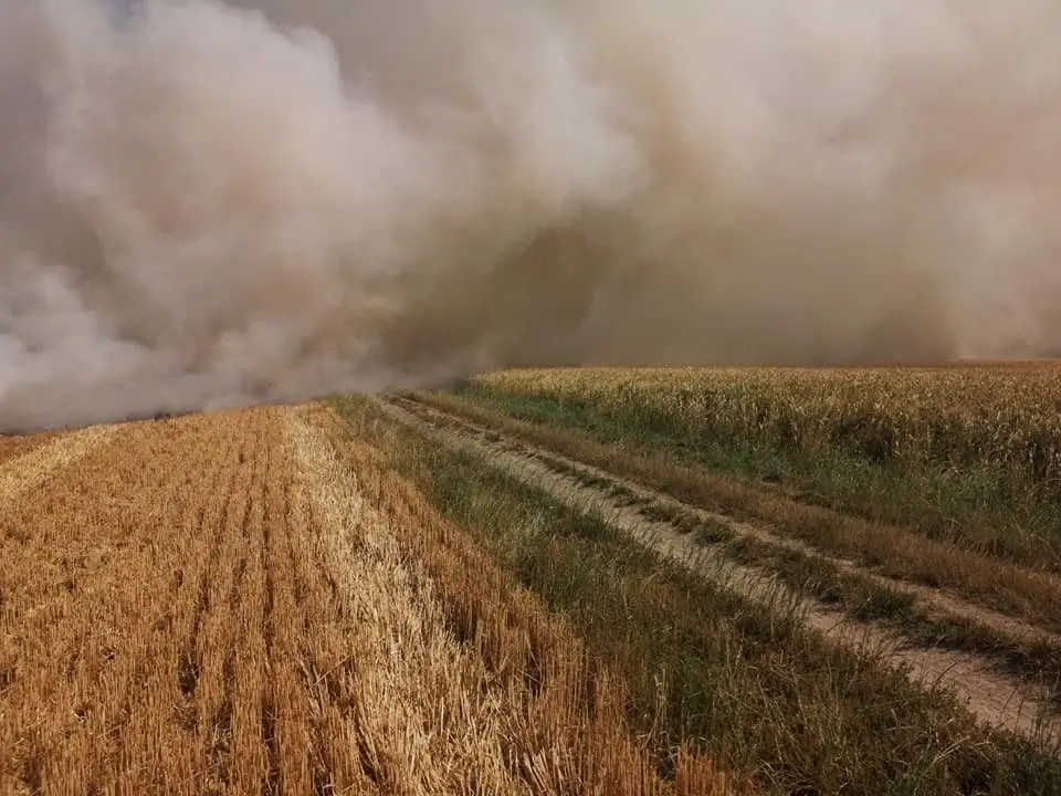 Duży pożar na polach koło Olszanicy. Straż i samoloty gaśnicze w akcji