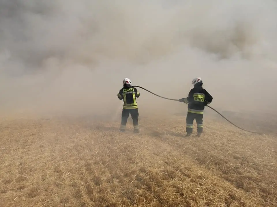 Duży pożar na polach koło Olszanicy. Straż i samoloty gaśnicze w akcji