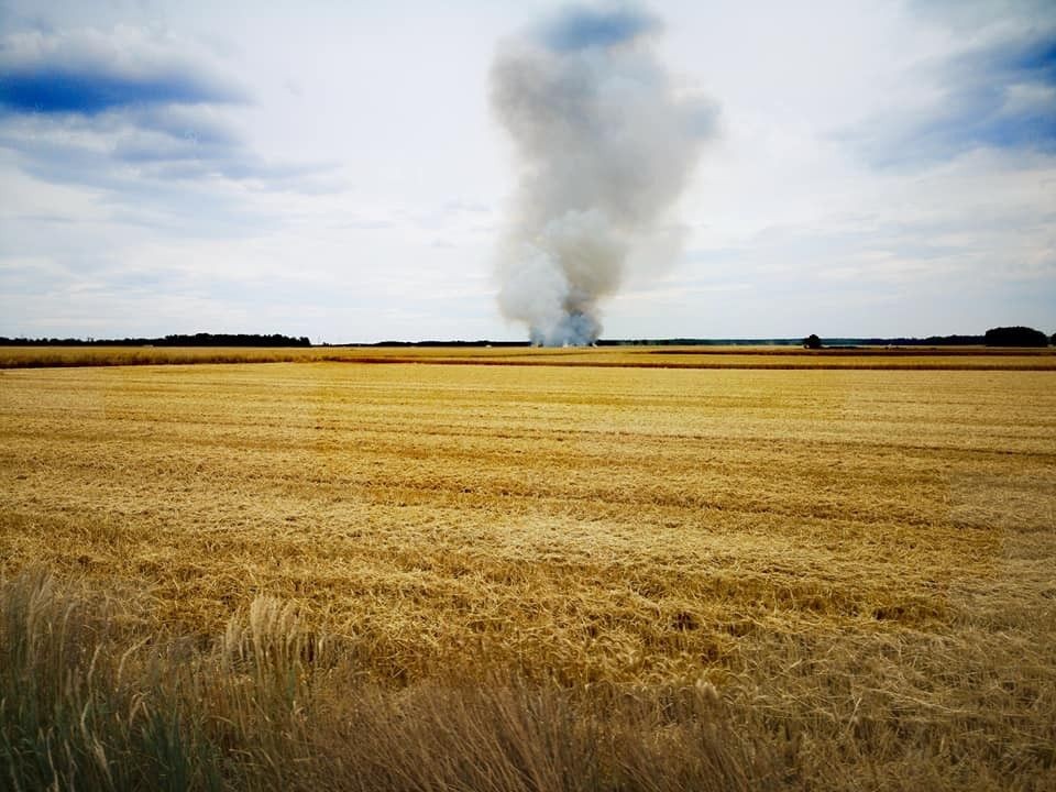Pożar pola koło Szczytnicy