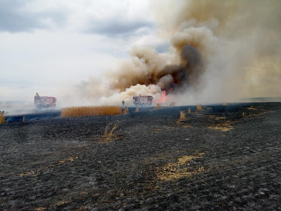 Pożar pola koło Szczytnicy
