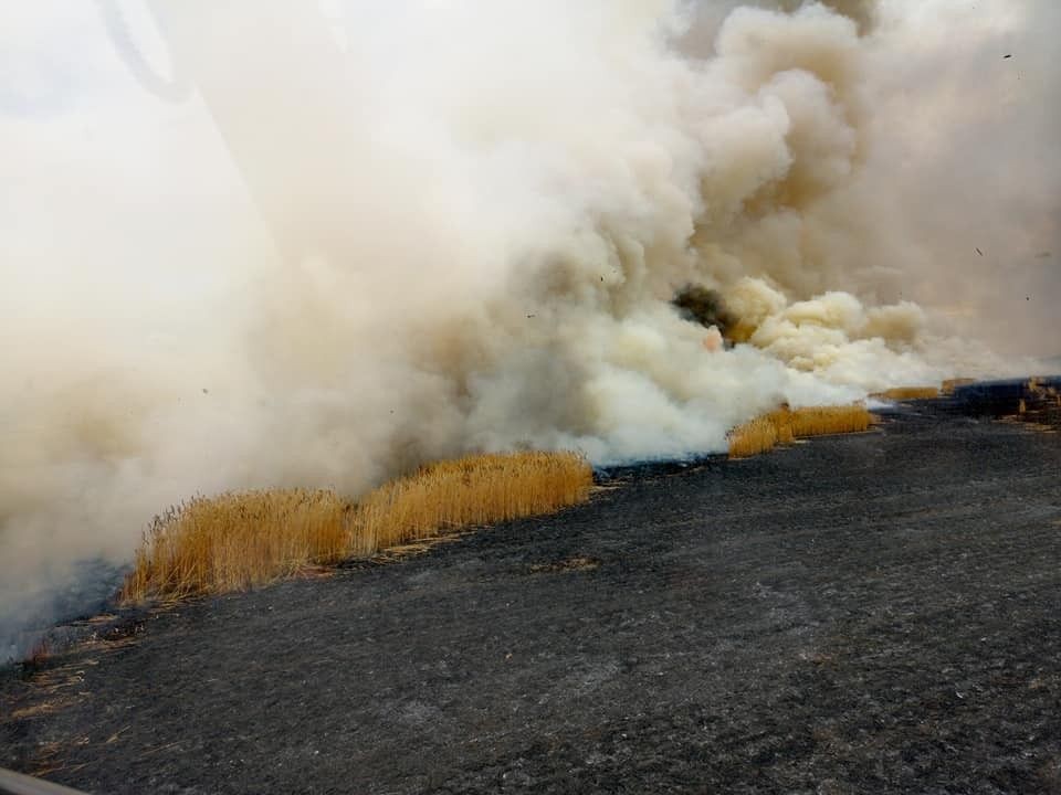 Pożar pola koło Szczytnicy