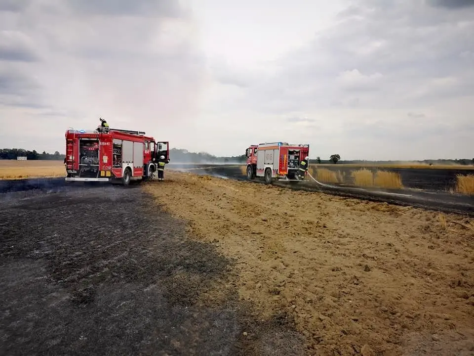 Pożar pola koło Szczytnicy