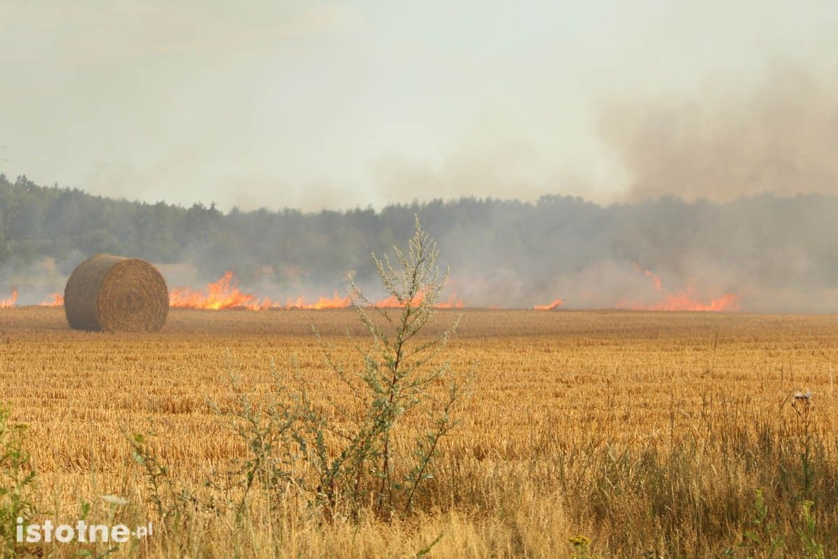 Pożar ciężarówki i słomy na polu koło Łazisk