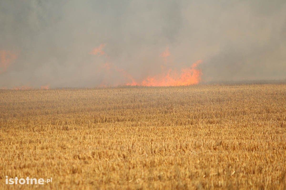 Pożar ciężarówki i słomy na polu koło Łazisk