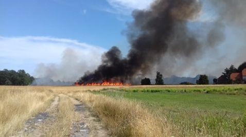 Pożar pola w Żeliszowie