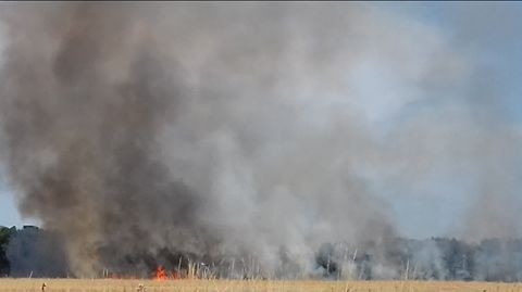 Pożar pola w Żeliszowie