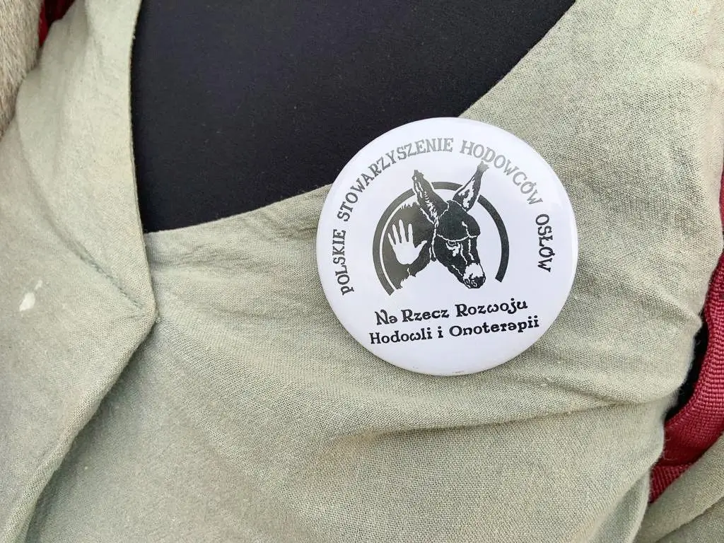 Z osłami podróżują przez Europę, w Świętokrzyskiem chcą założyć farmę