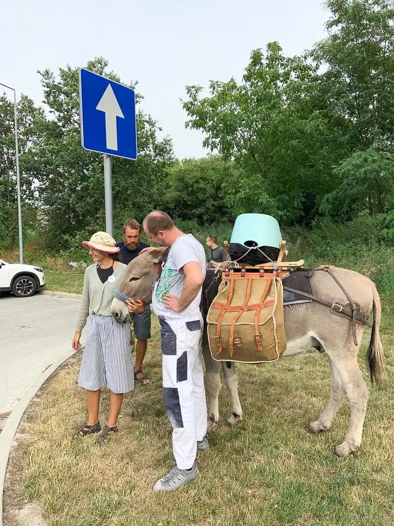 Z osłami podróżują przez Europę, w Świętokrzyskiem chcą założyć farmę