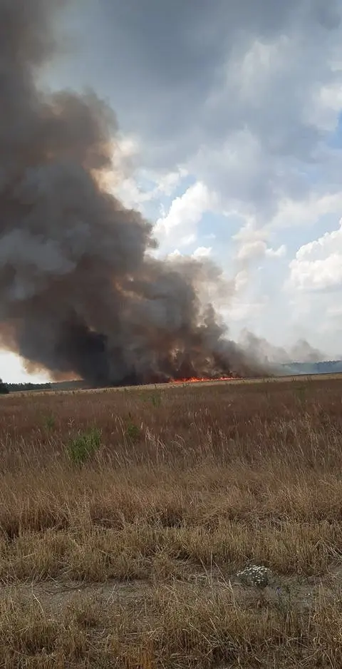 Poważny pożar koło cmentarza Kutuzowa