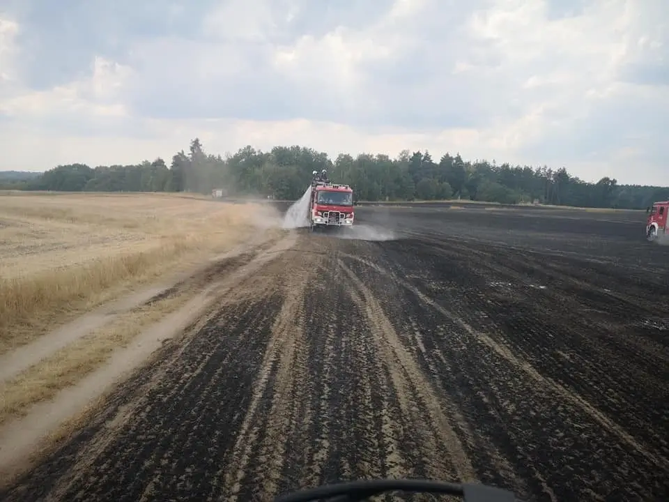 Pożar pola koło cmentarza Kutuzowa