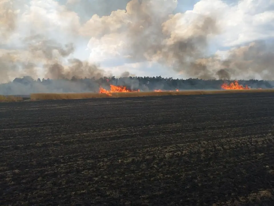 Pożar pola koło cmentarza Kutuzowa