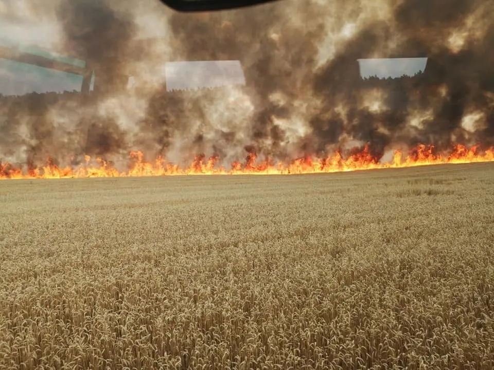 Pożar pola koło cmentarza Kutuzowa