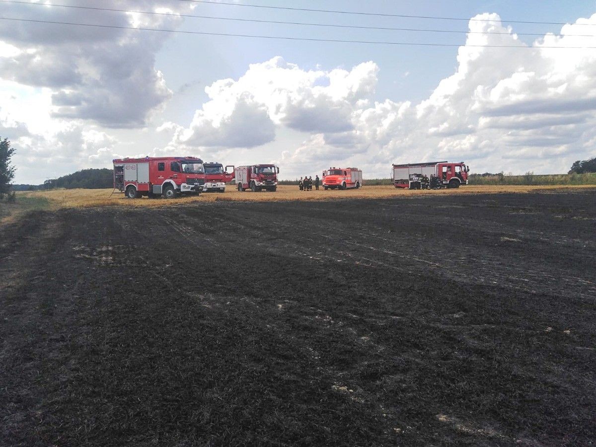 Pożar w Raciborowicach. Przyczyna? Agrowłóknina