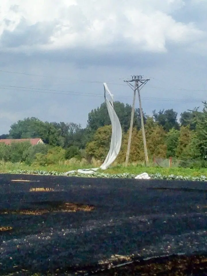 Pożar w Raciborowicach. Przyczyna? Agrowłóknina