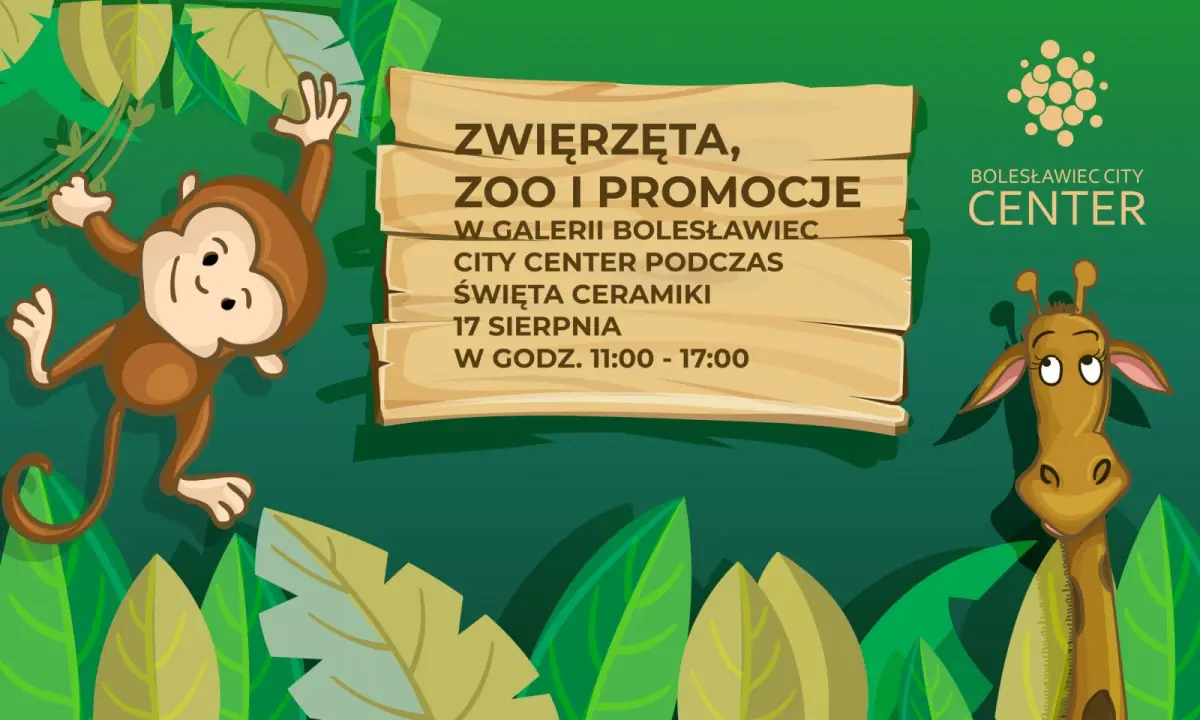 Plakat galerii BCC