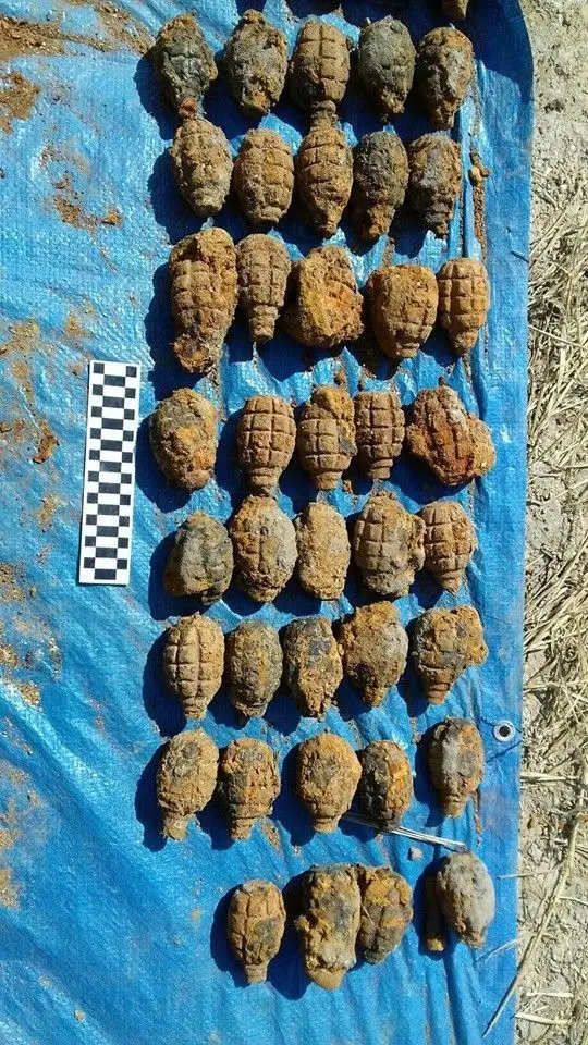 Ponad 4 tys. sztuk amunicji na działce w Kruszynie