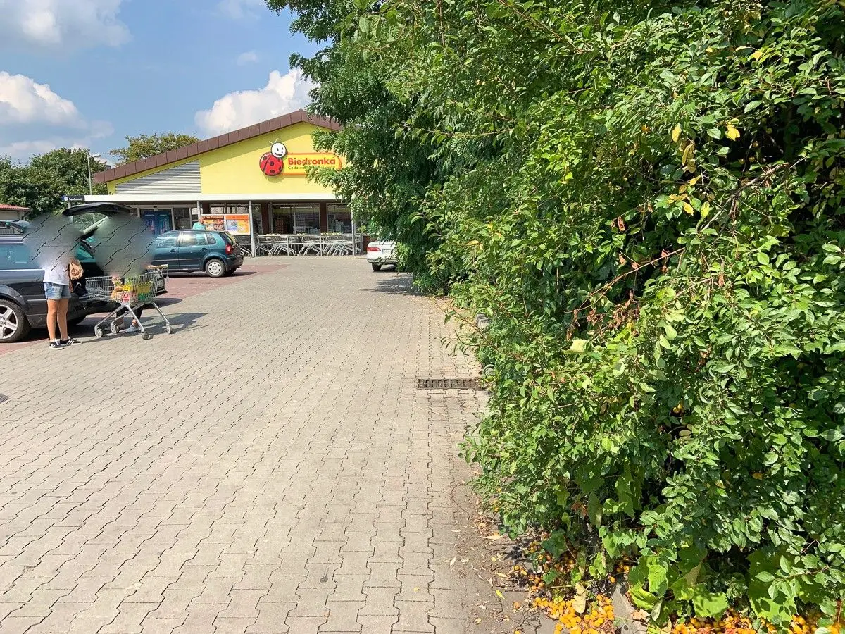 Strasznie zarośnięty parking przed Biedronką. Życie „towarzyskie” kwitnie w krzakach