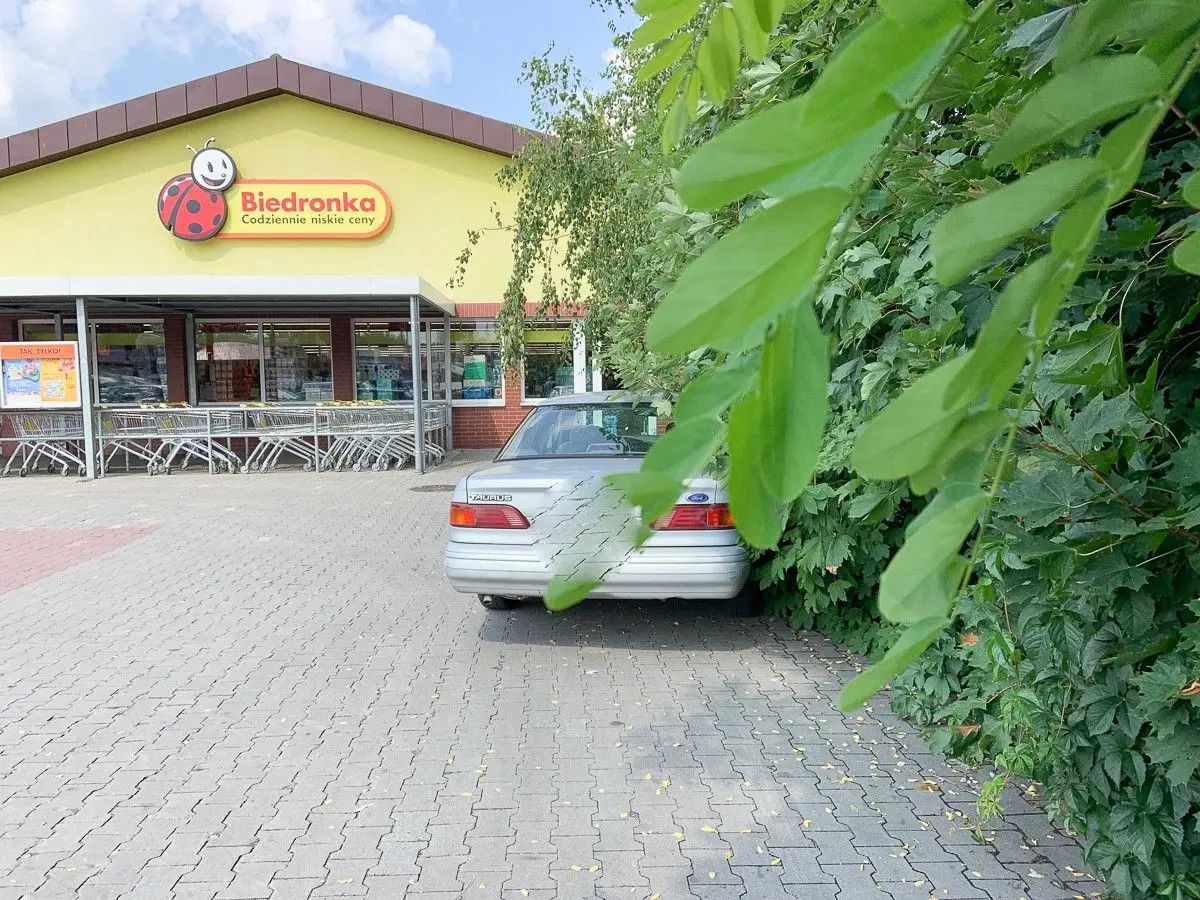 Strasznie zarośnięty parking przed Biedronką. Życie „towarzyskie” kwitnie w krzakach