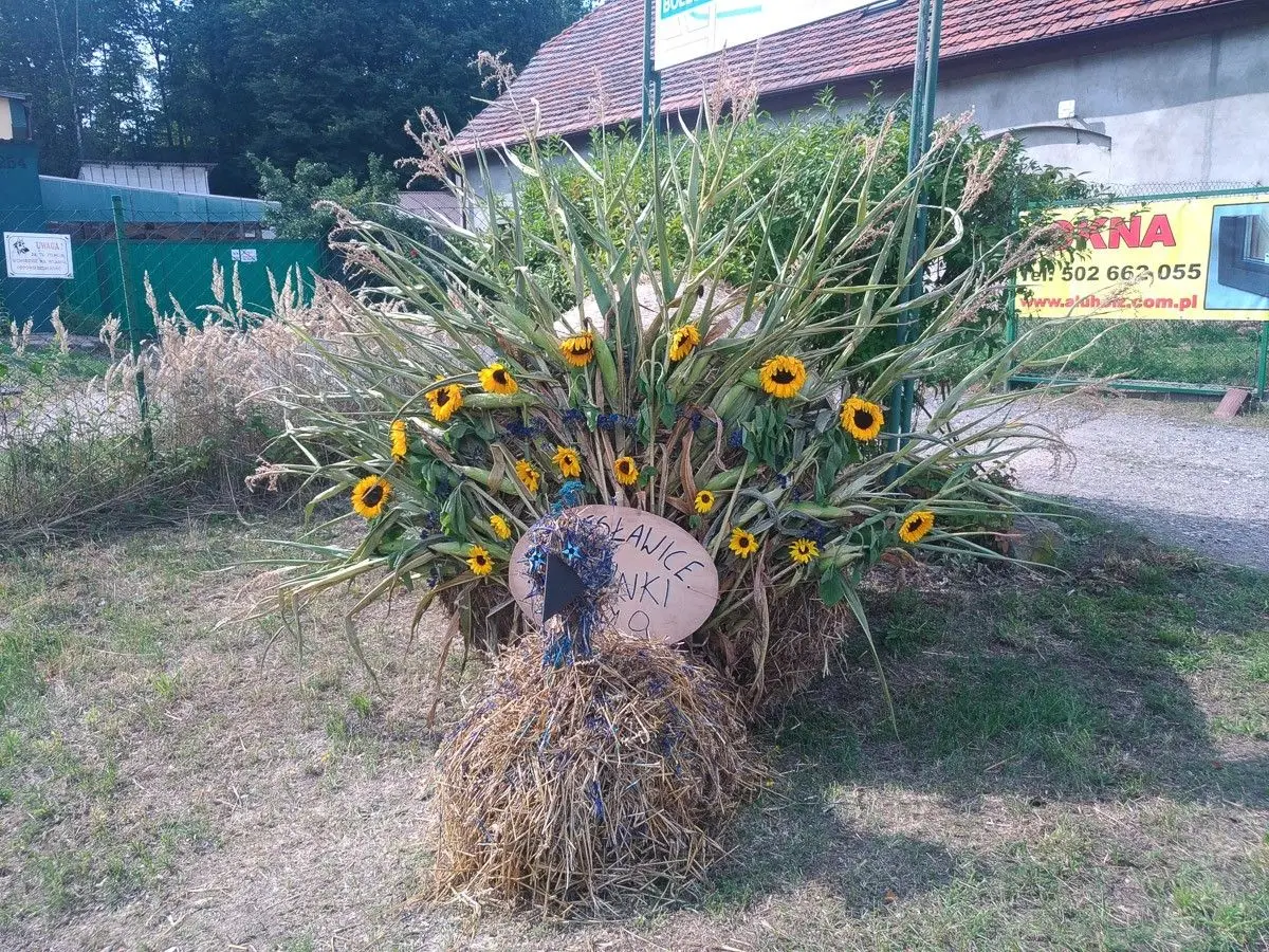 Dekoracje Bolesławic podczas dożynek gminnych 2019