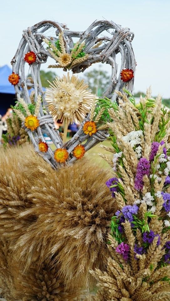 Dożynki w Gminie Osiecznica