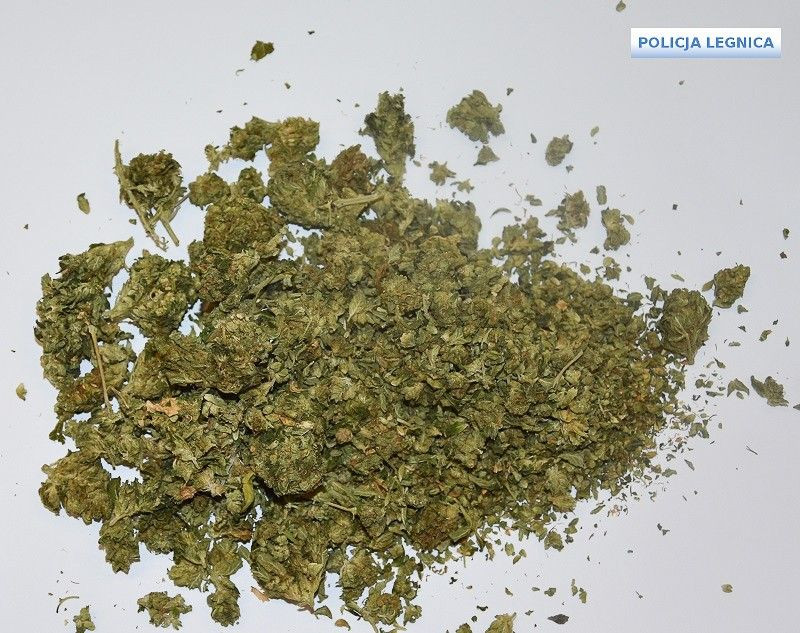 Ukrainiec wpadł z narkotykami w czasie kontroli drogowej