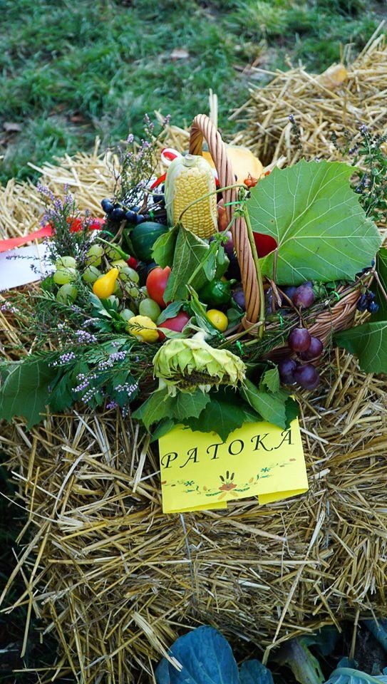 Dożynki w Różyńcu: Jak zabawa, to zabawa