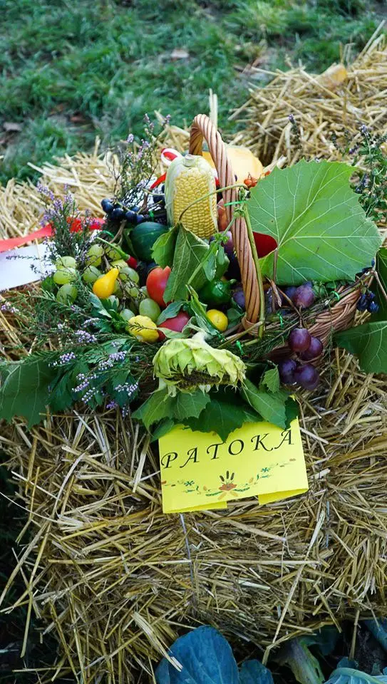 Dożynki w Różyńcu: Jak zabawa, to zabawa