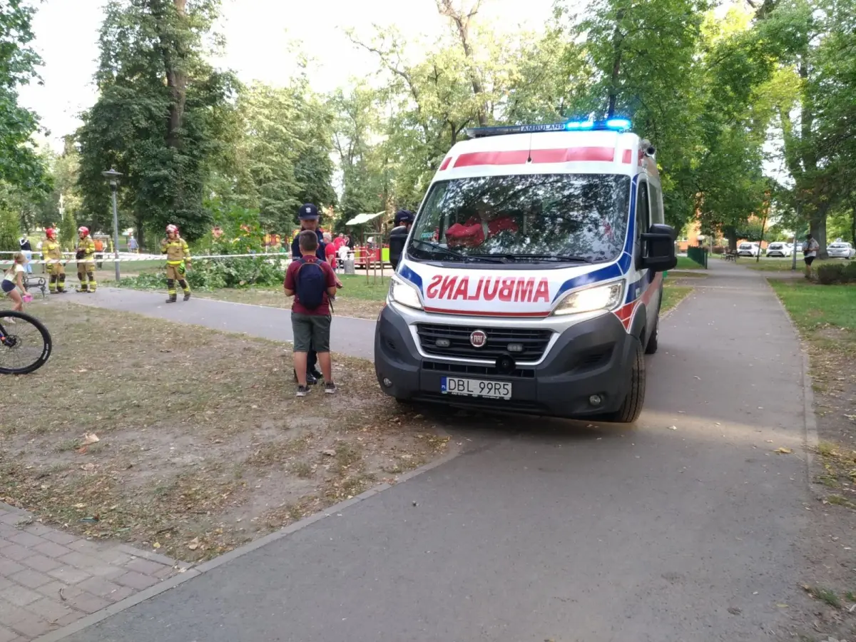 Konar upadł na młodą kobietę w parku