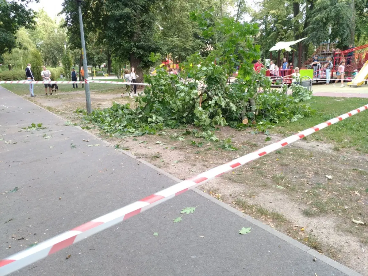 Konar upadł na młodą kobietę w parku