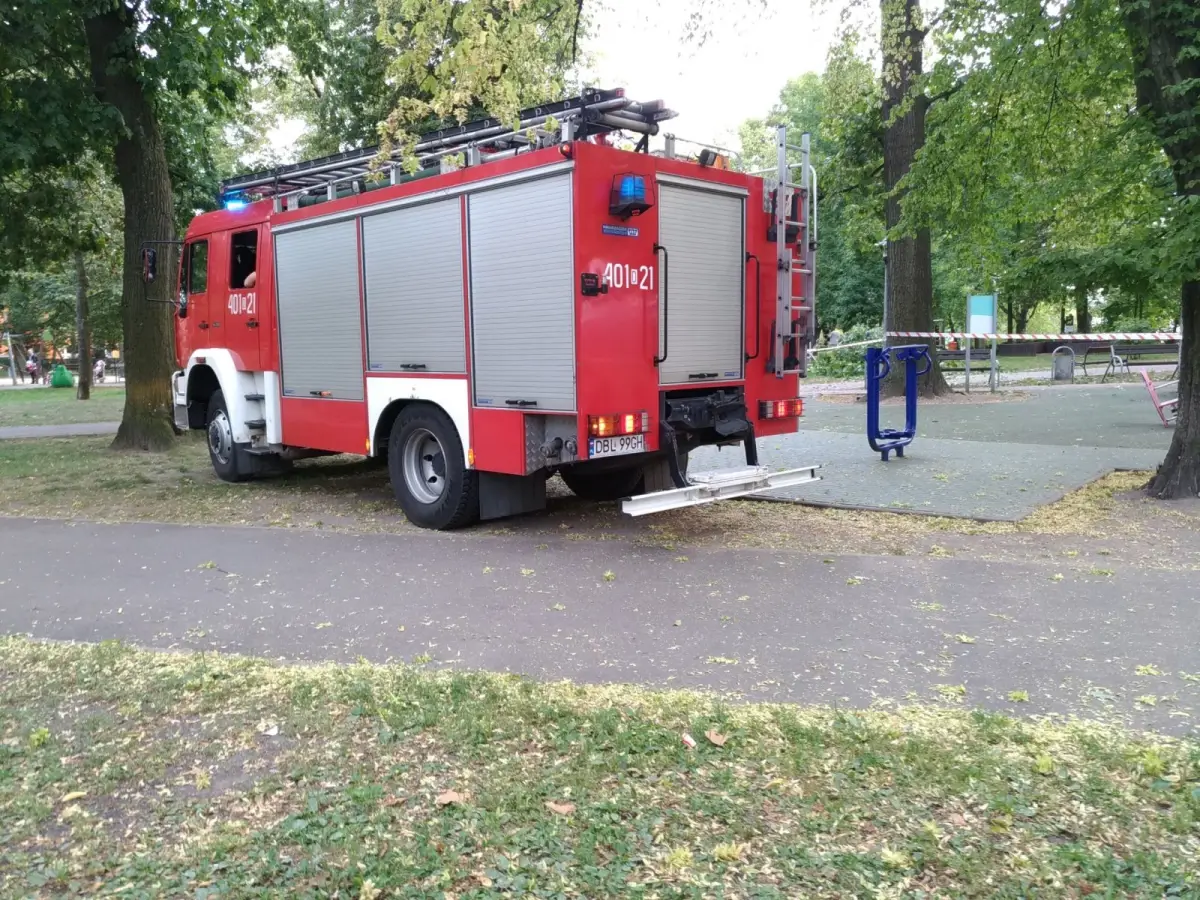 Konar upadł na młodą kobietę w parku