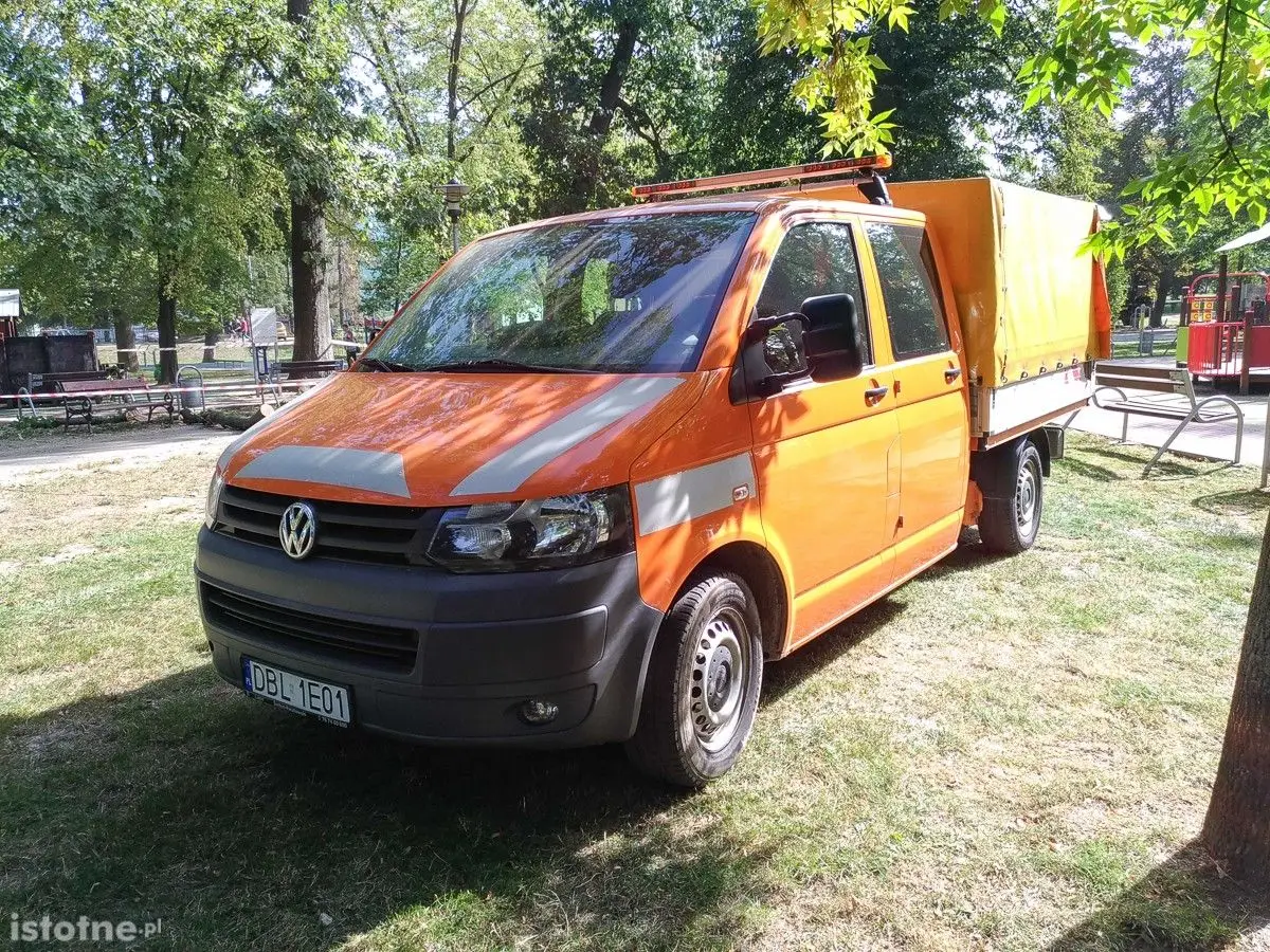 Akcja przycinania i wycinki drzew w parku Bonina