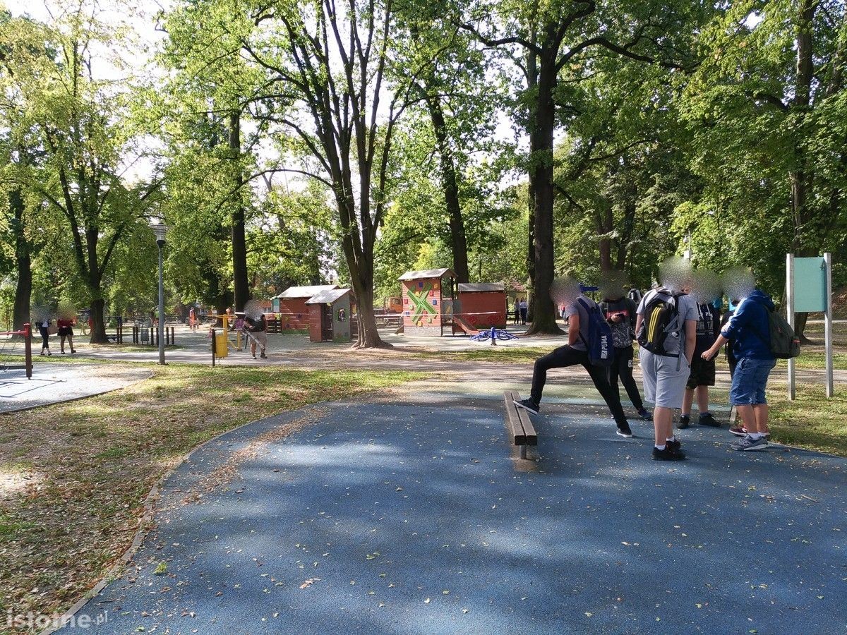 Akcja przycinania i wycinki drzew w parku Bonina