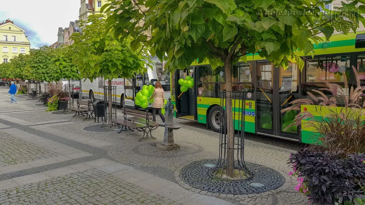 Wyjątkowa wystawa autobusowa w Rynku