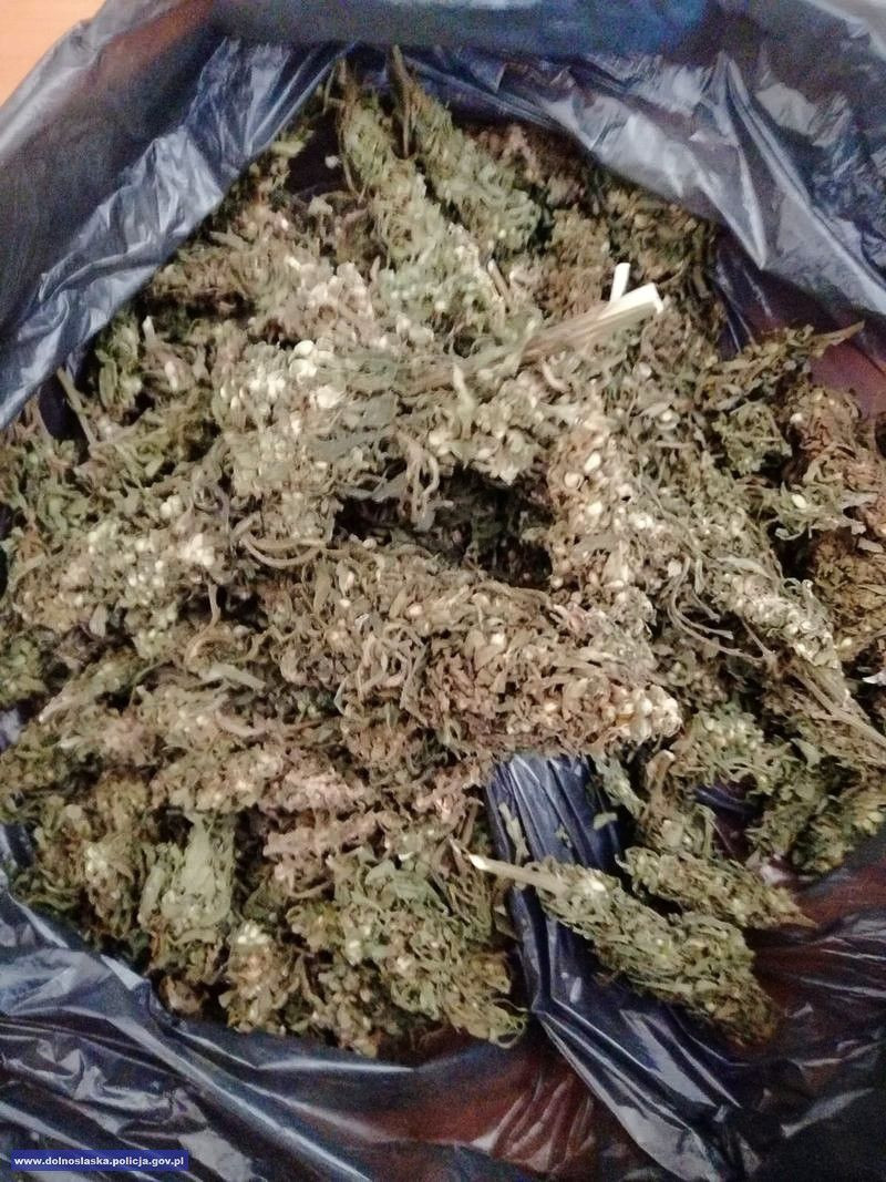 29-latek wpadł z dużą ilością marychy