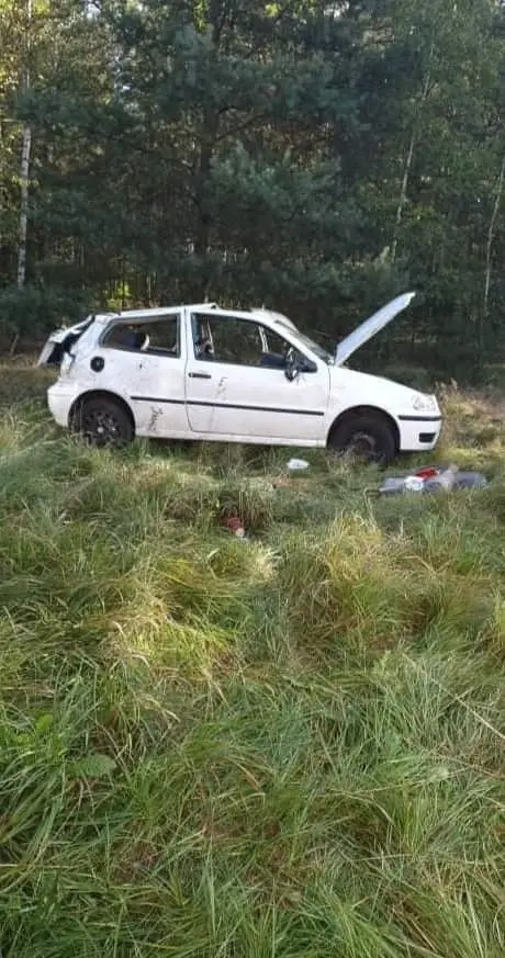 Auto dachowało w Starej Olesznej, jedna osoba ranna