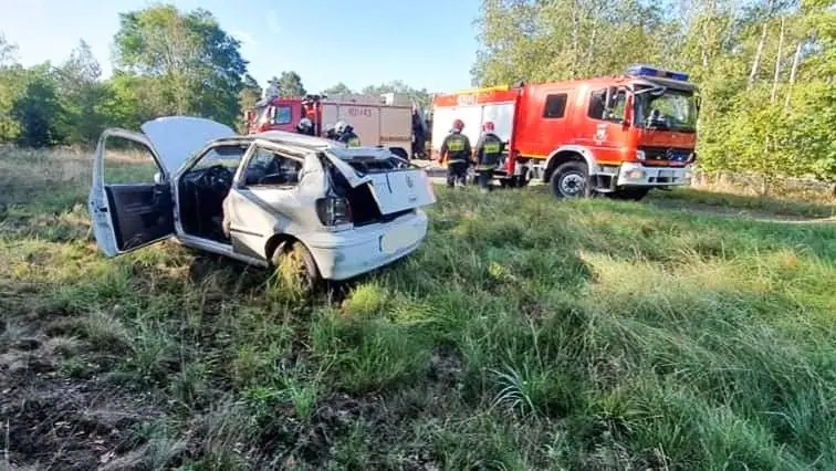 Auto dachowało w Starej Olesznej, jedna osoba ranna