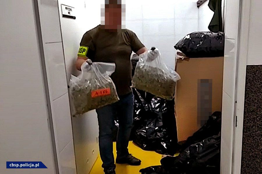 Plantacja marychy w… pieczarkarni. Narkotyki warte ponad 6 mln zł przechwycone. Zatrzymany mężczyzna miał broń