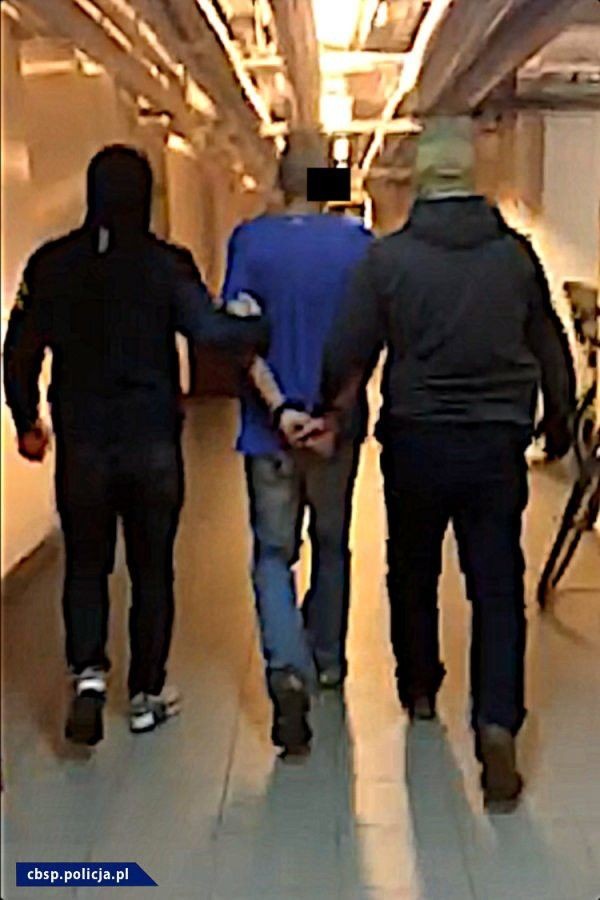 Plantacja marychy w… pieczarkarni. Narkotyki warte ponad 6 mln zł przechwycone. Zatrzymany mężczyzna miał broń