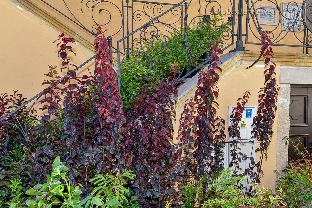 Bolesławianie wzięli udział w akcji „Nasze miasto oddycha”