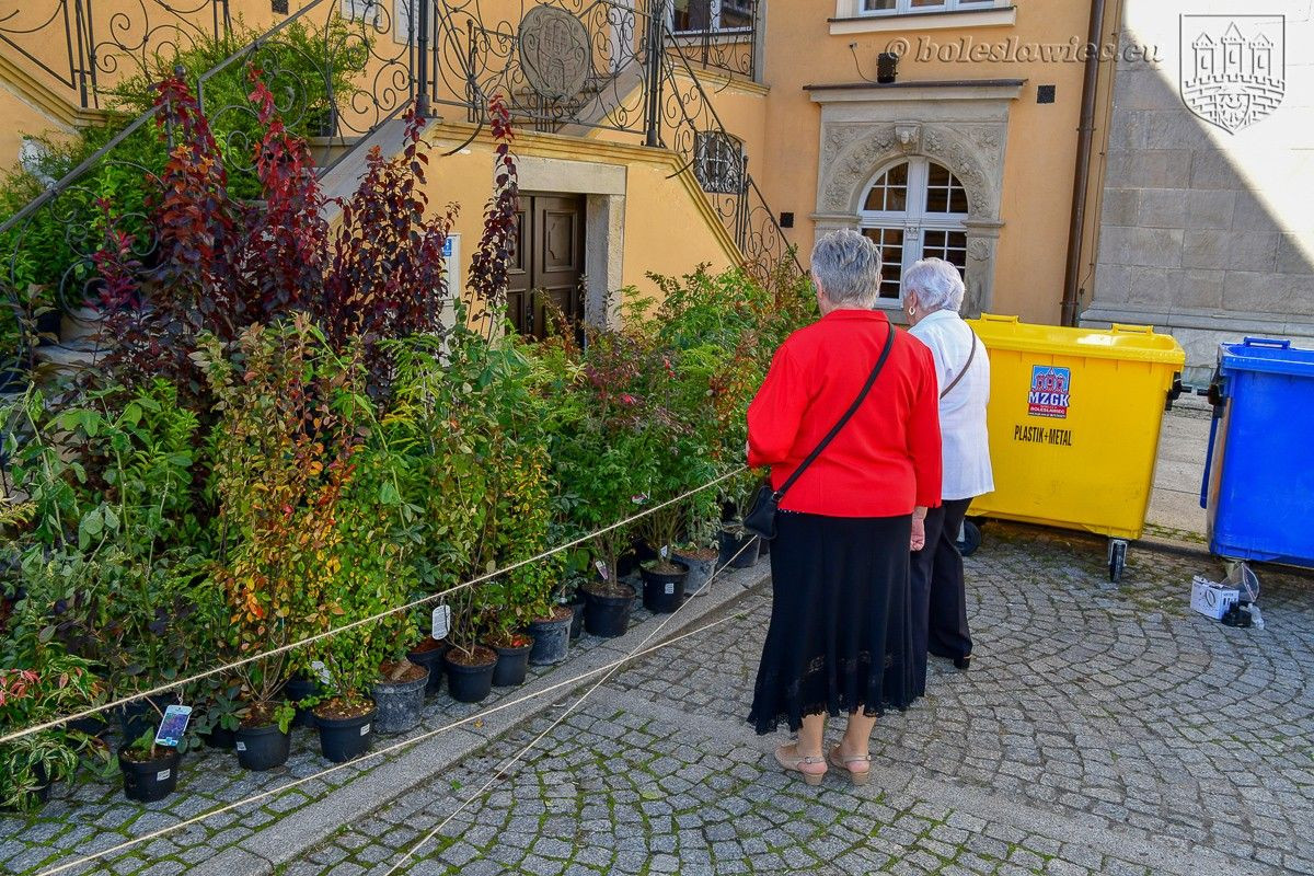 Bolesławianie wzięli udział w akcji „Nasze miasto oddycha”